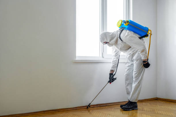 Best Pest Exclusion Services  in Beaver, OK